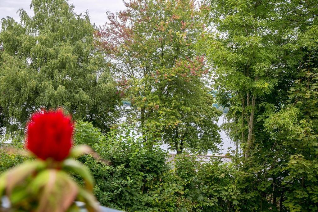 Hotel Seebrunn Am Wallersee Henndorf am Wallersee Dış mekan fotoğraf